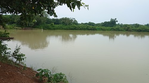 Crusneswar pond