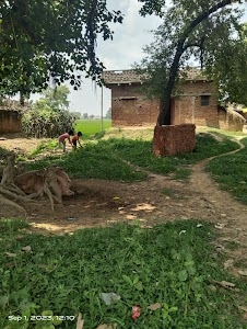 Rupchand bigha