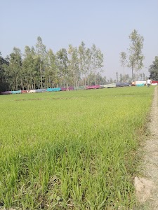 Fatepur