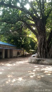 Area Accounts Office (Pay)