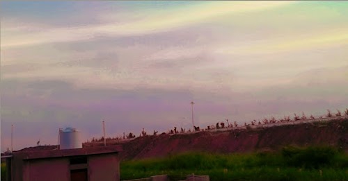 Zaidpur