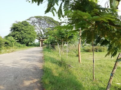 Narsinghpur