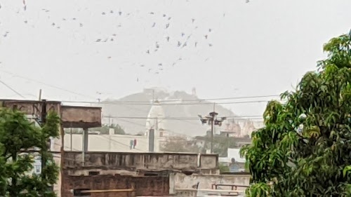 Radha Colony