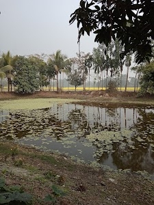 Kashibati