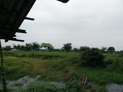 Biskuti Gaon