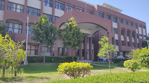 Department Of Commerce