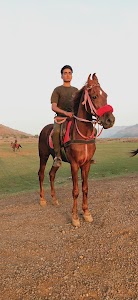 Horse Riding School Sekhala