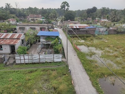Jangal Mahal