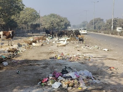 Rohini