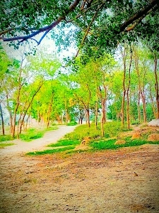 Mujan