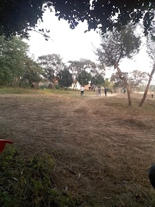 Cricket Ground