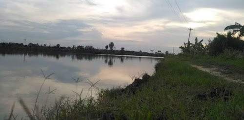 Durgapur Upazila