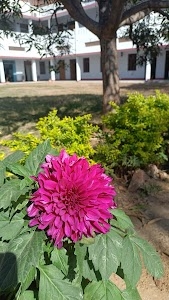 Jai Maa Bhagwati Sonanchal P.G. College