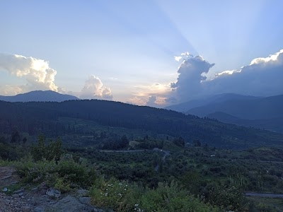 View point