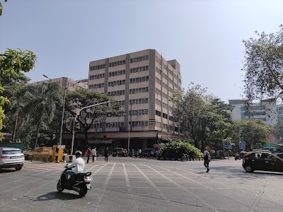 Family Court