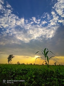 Raghuwanshi Farm