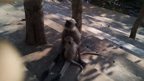 Pathariya