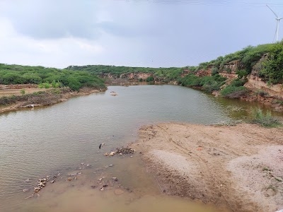 Bhadli