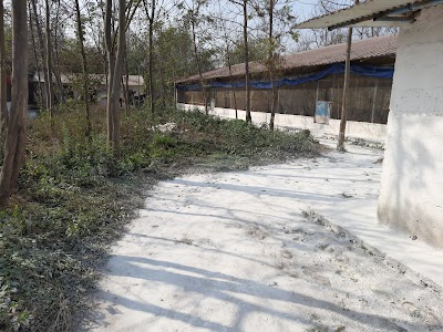 Taginee poultry farm