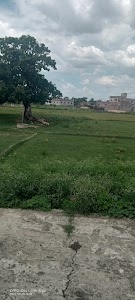 Dadpur block halt