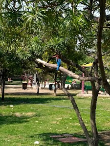 Surdas Park