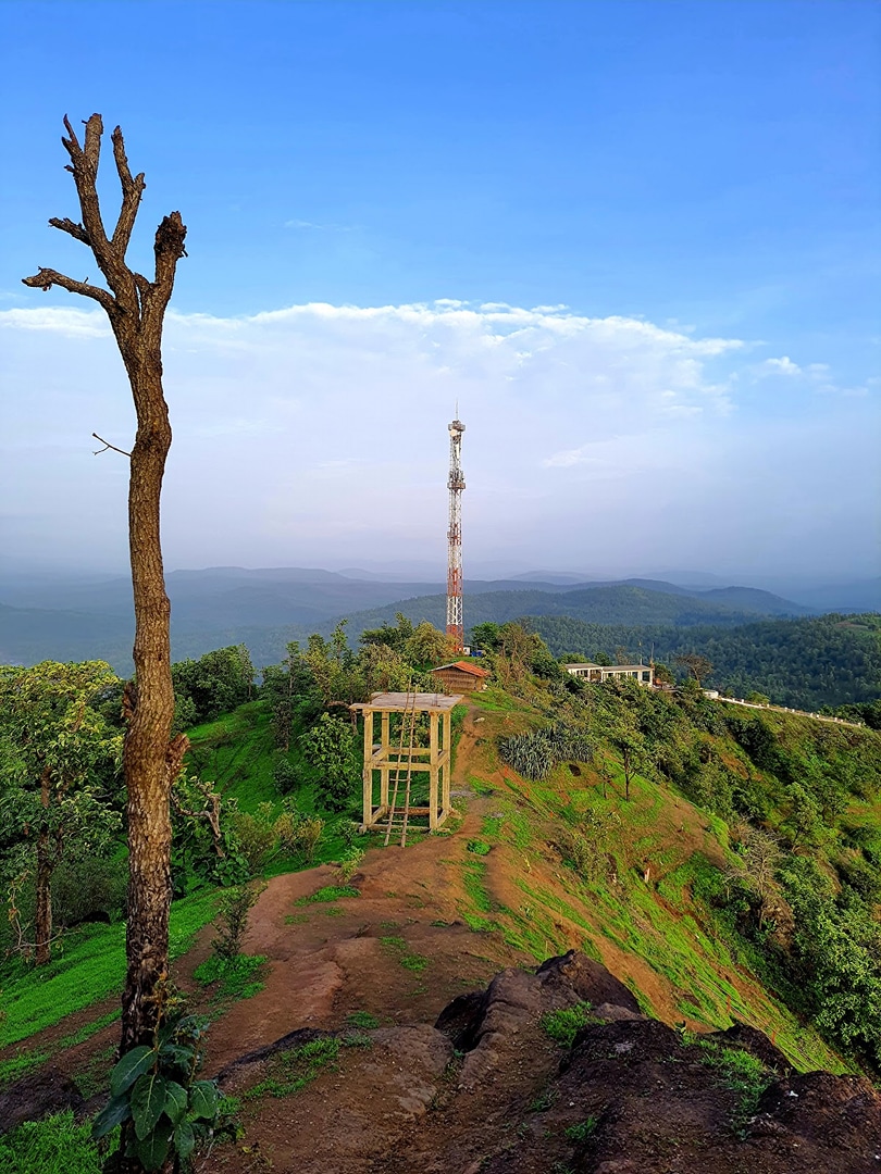 Kadam dungar