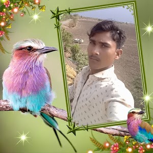 Jamnagar Gujarat