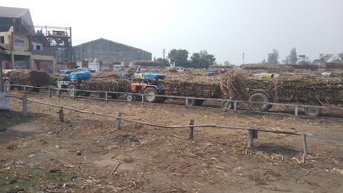 Seksaria Sugar Factory Ltd, Biswan UP