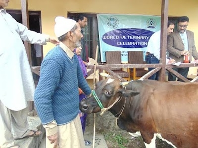 Animal Dispensary