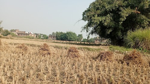 Ratanpur