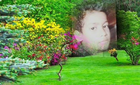 Boro Pahari