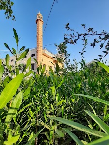 Hingola