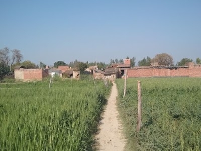 Bhainamau