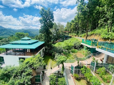 The Woods Stay- Resort and Pool in Dehradun