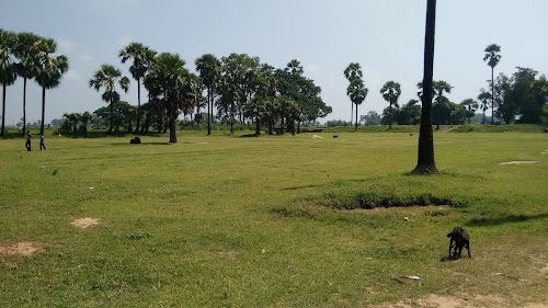 Dihuli Playground