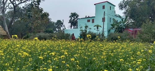 Raj Dairy Chaurasi