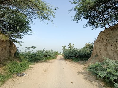 Dhollan head