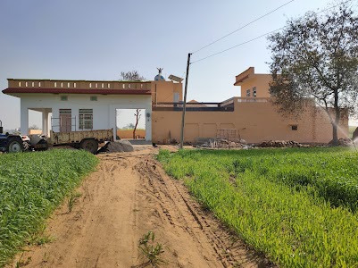 Saral