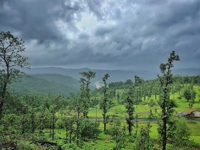 Wilson Hill