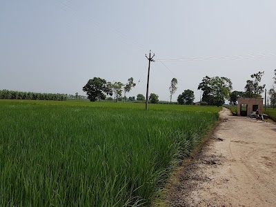 Sardar Ishar Singh Saini Farm