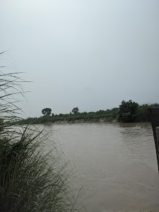 Tewari