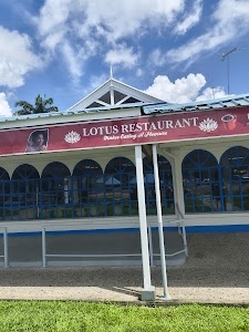 The Lotus