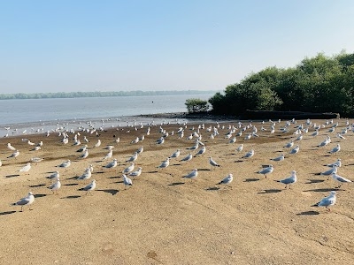 Bhayandar Khadi