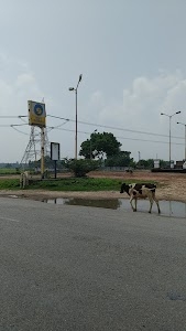 Bharat Petroleum Petrol Pump