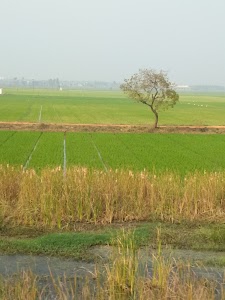 Badampudi