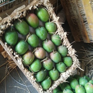 Gultekdi Fruit Market