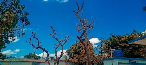 blood bank