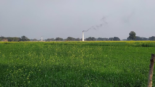 Paigamberpur