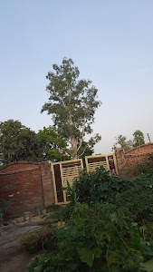 Munderwa Chawraha