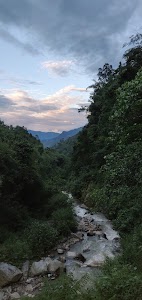 Lebong and Mineral Spring Tea Garden